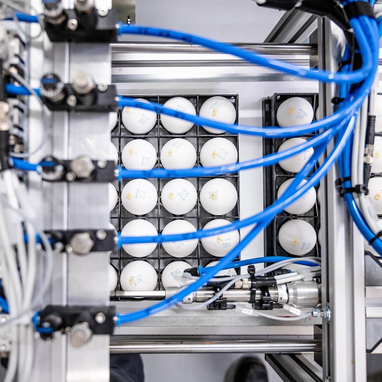 Showcase_sampled_eggs_sorting_machine